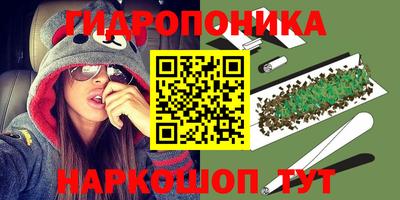 a pvp Пушкино