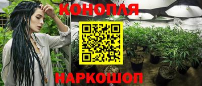 a pvp Пушкино